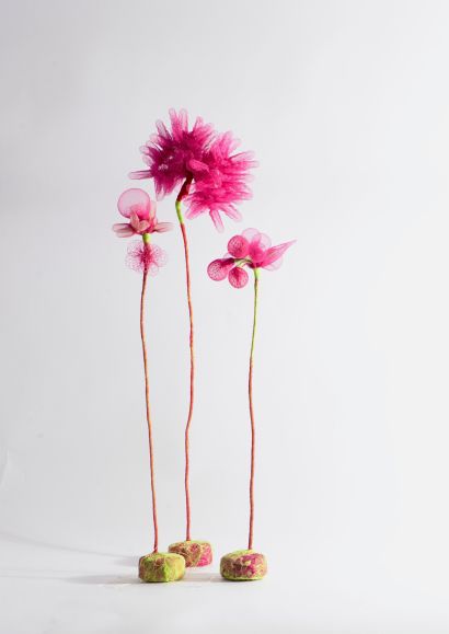 Imaginaria Primoris - a Sculpture & Installation Artowrk by Cintia Gargioni 